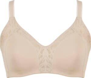Naturana Minimizer-BH "Solutions"
