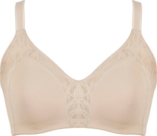 Naturana Minimizer-BH "Solutions"